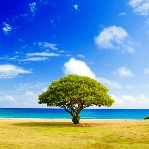 Meet your Posher, Stephen